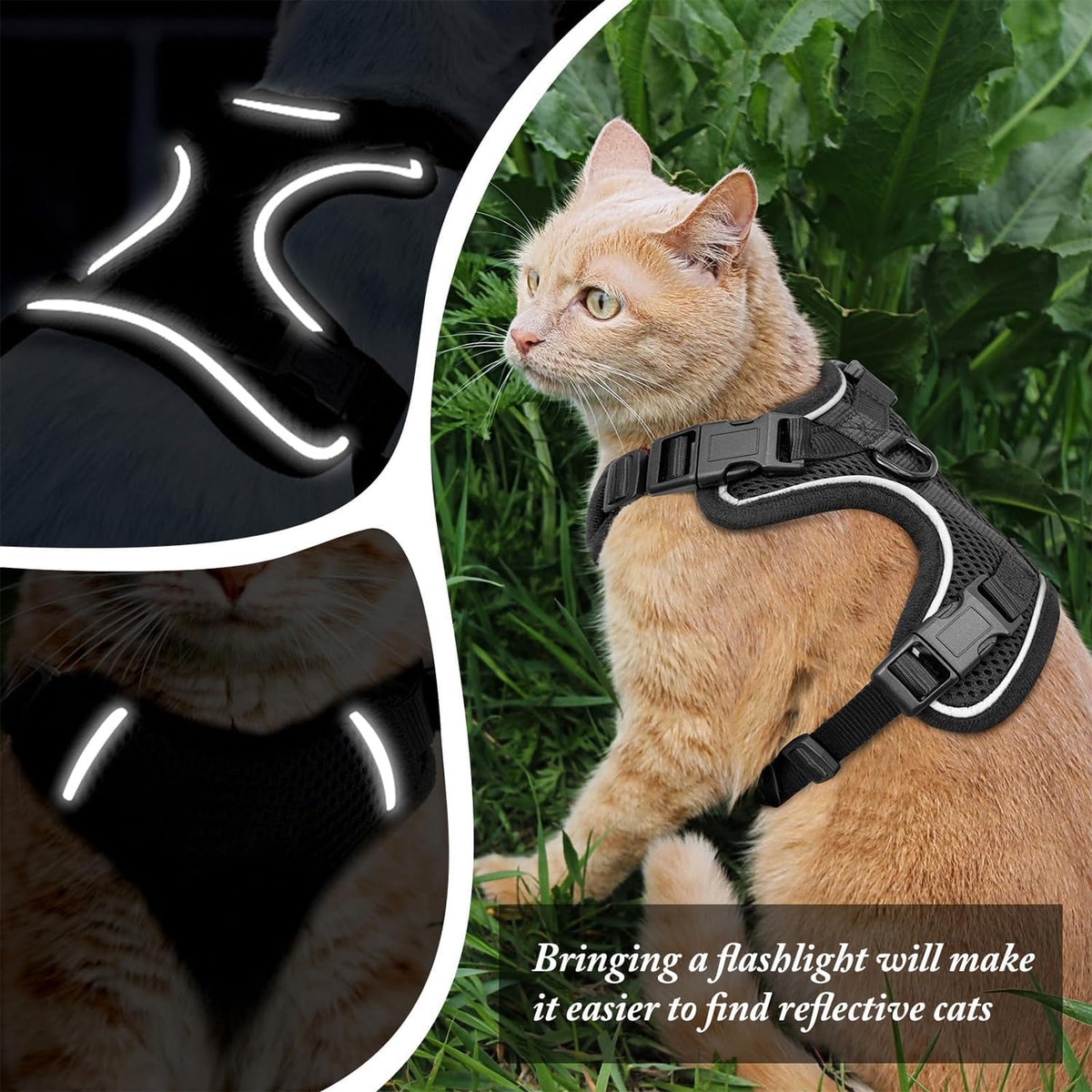 MHHYQF cat car harness attachment connected to an adaptable vehicle seat belt insert.