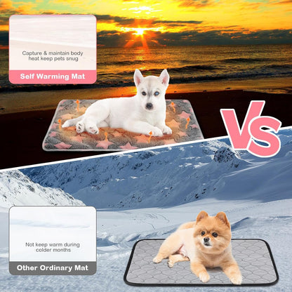 Clysee star pattern thermal puppy pad on a living room sofa