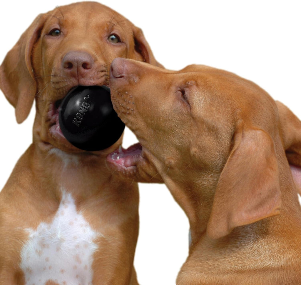 KONG Extreme Ball with Hole - Fetch Toy - Durable Dog Toy for Training, Interactive Playtime & More - Natural Extreme Rubber Ball - Black - for Medium/Large Dogs - Image 9