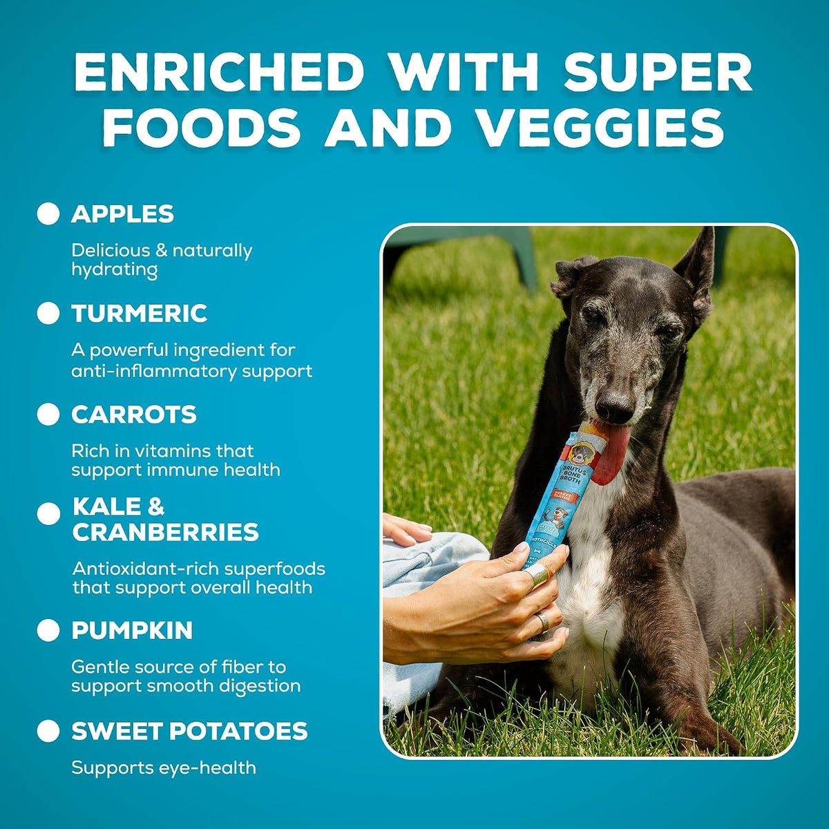 Brutus Brothcicles all natural healthy turkey flavor frozen enrichment snack tubes for adult dogs.