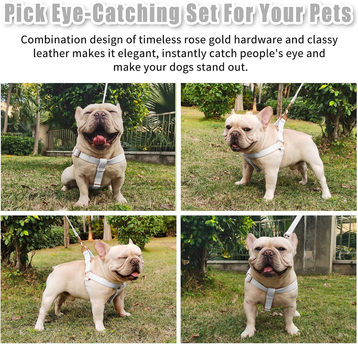 Step-in design mechanism of AaufiLux small dog harness