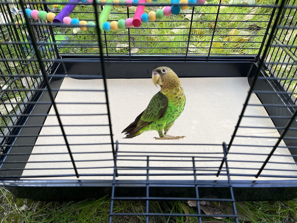 Bird standing on natural quartz gravel paper liner