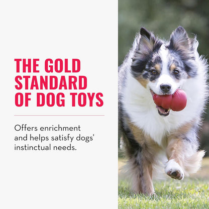 Durable KONG Classic natural rubber fetch toy bouncing erratically on grass