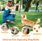 Dog fetching Hippih interactive ball in outdoor park