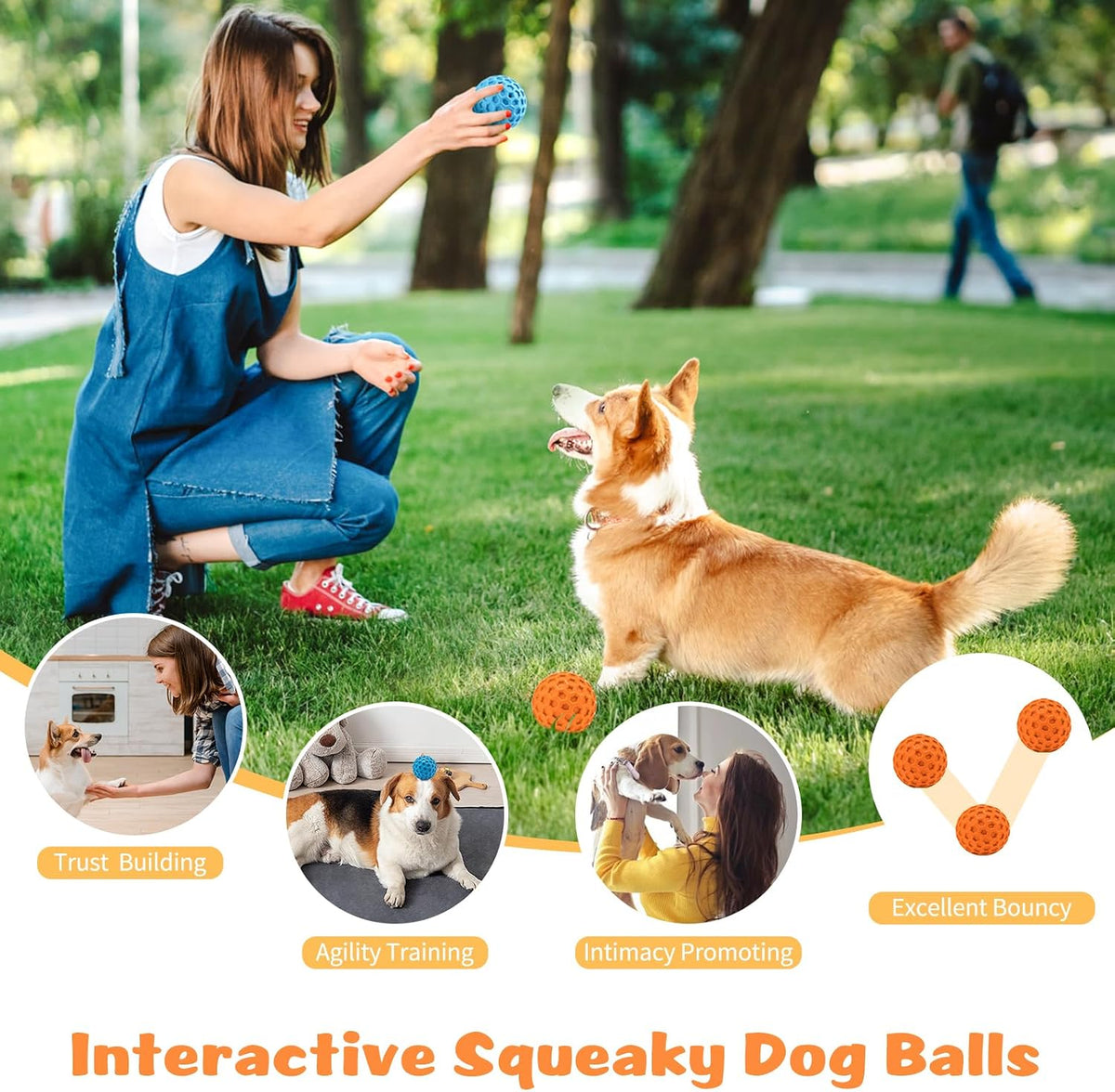 Dog fetching Hippih interactive ball in outdoor park