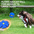 Badwalt transforming dog toy showing ball and disc shapes