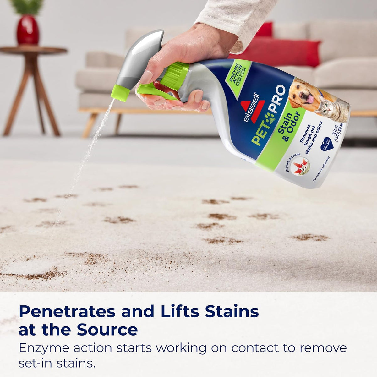 Bissell Pet Pro stain remover usage instructions