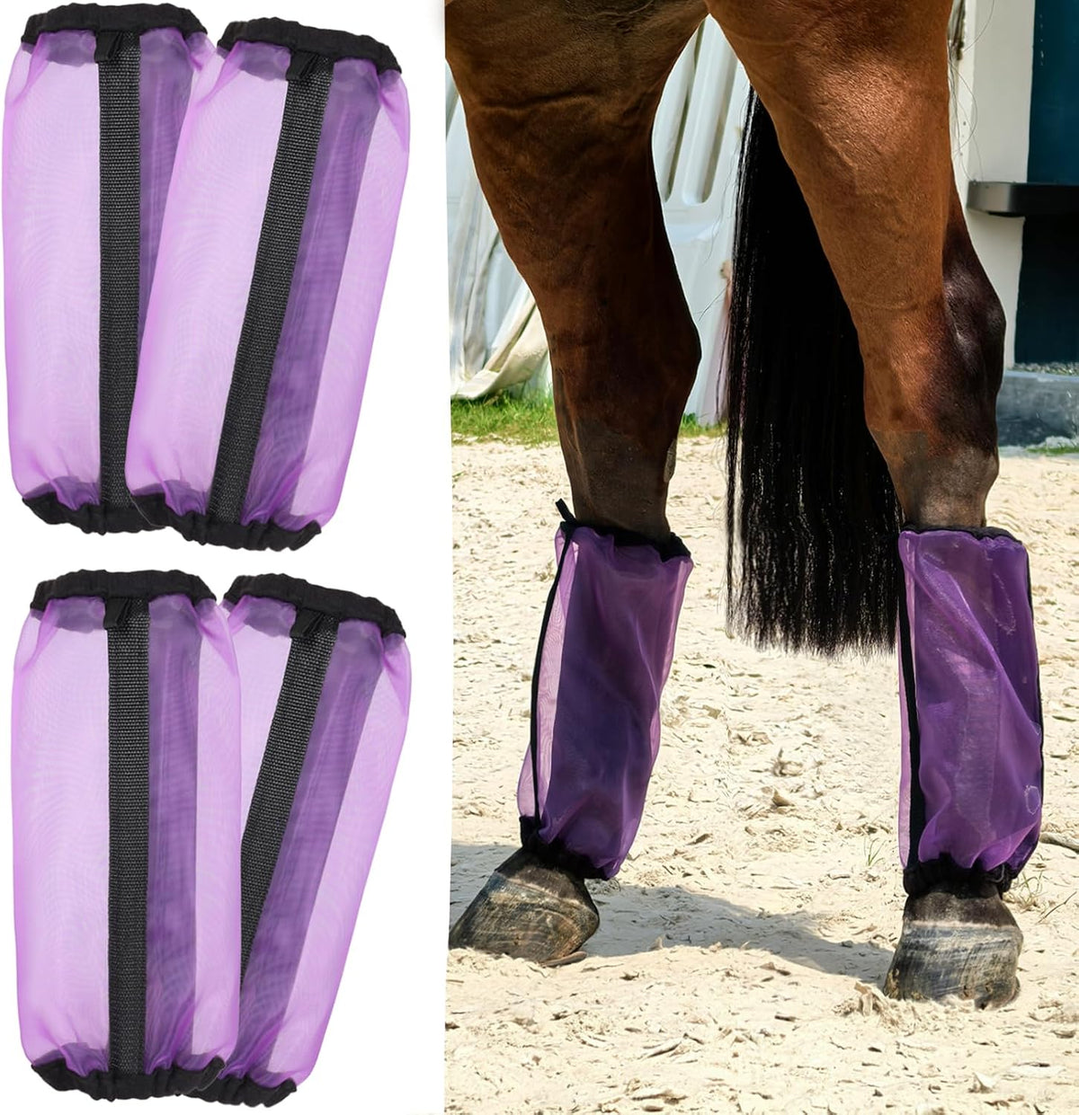 USA imported authentic Wizbrio horse leg protection gear packaging view