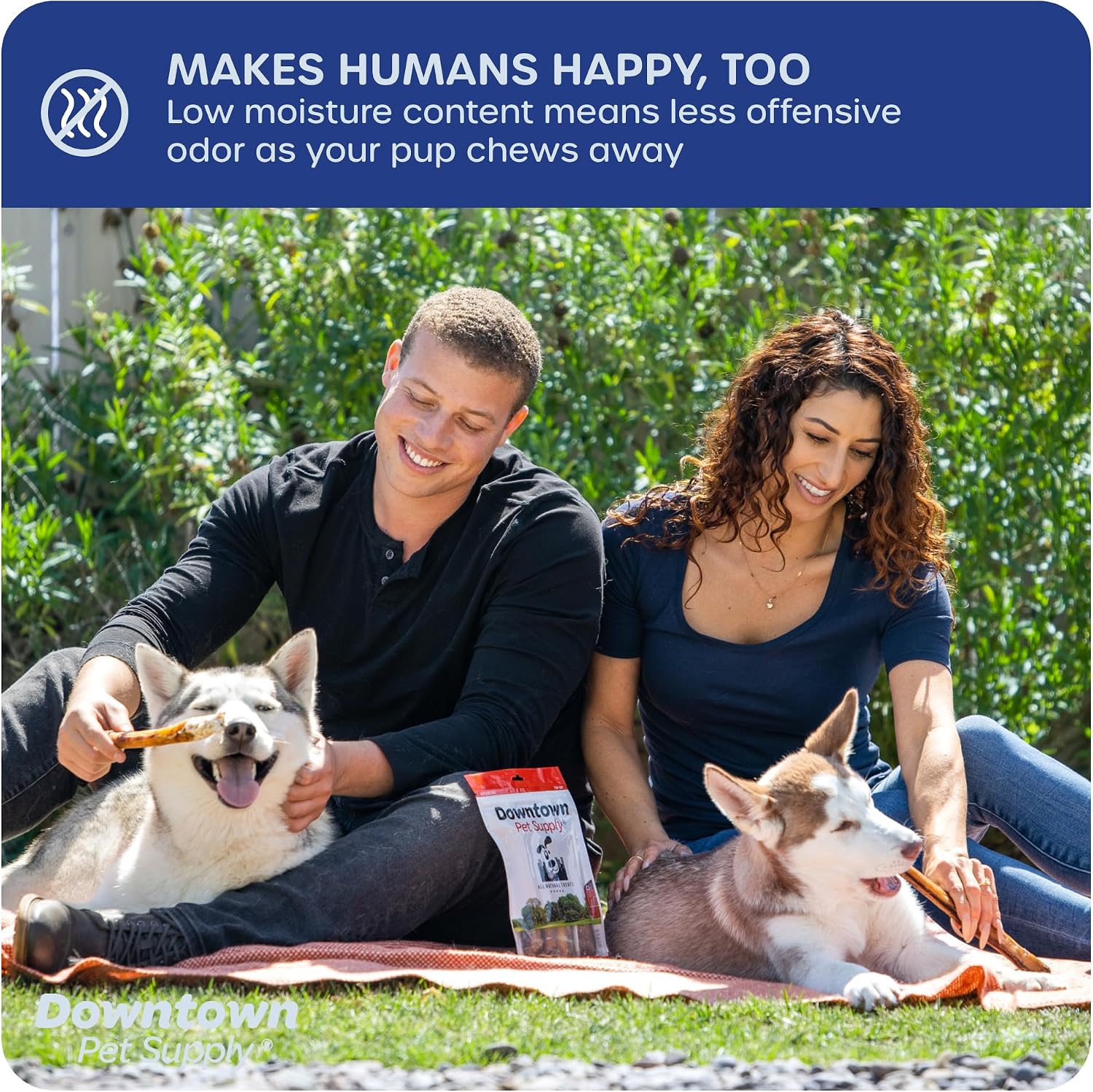 Healthy dog dental treats reducing tartar and plaque buildup