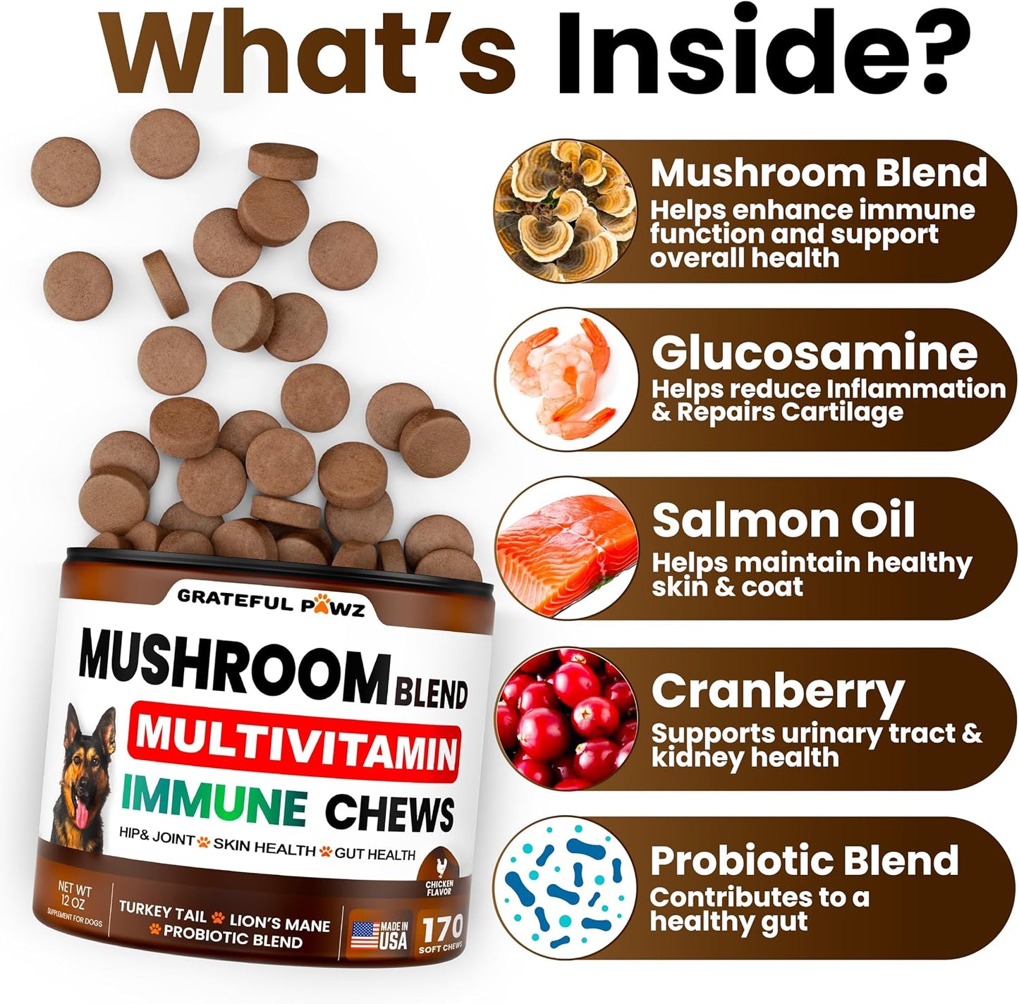 Vet Promise dog immune multivitamin chews back label highlighting active functional mushroom ingredients