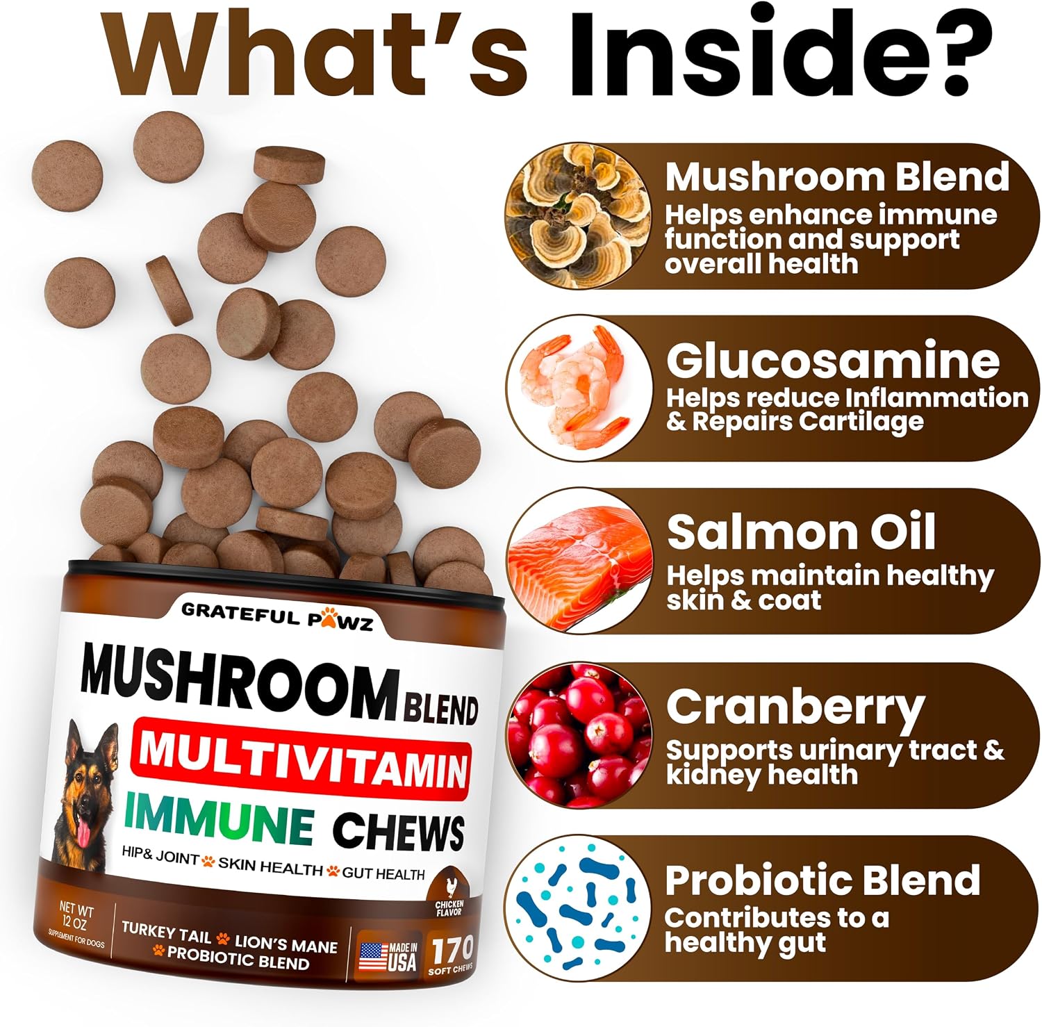 Vet Promise dog immune multivitamin chews back label highlighting active functional mushroom ingredients