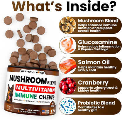 Vet Promise dog immune multivitamin chews back label highlighting active functional mushroom ingredients