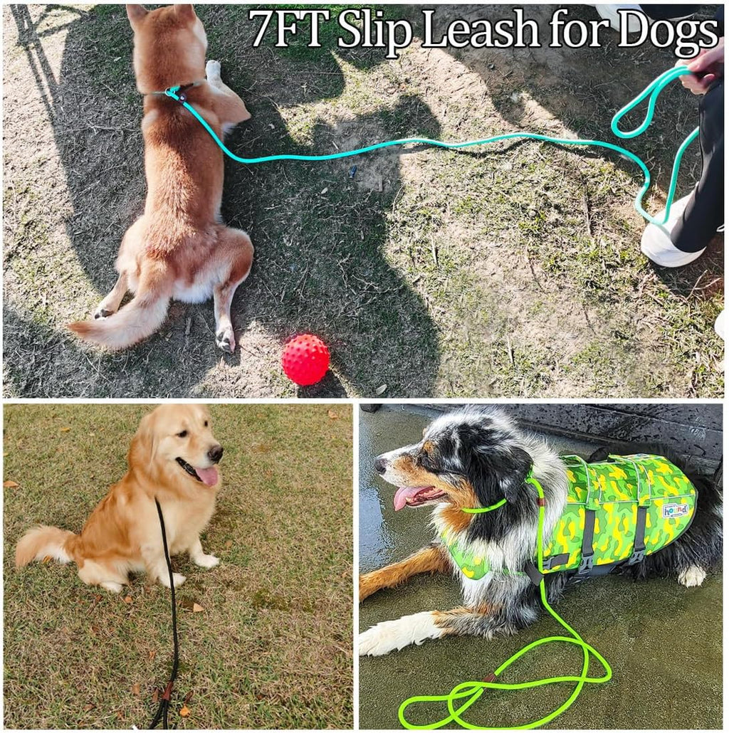 MayPaw high density nylon pet lead designed for small medium dogs