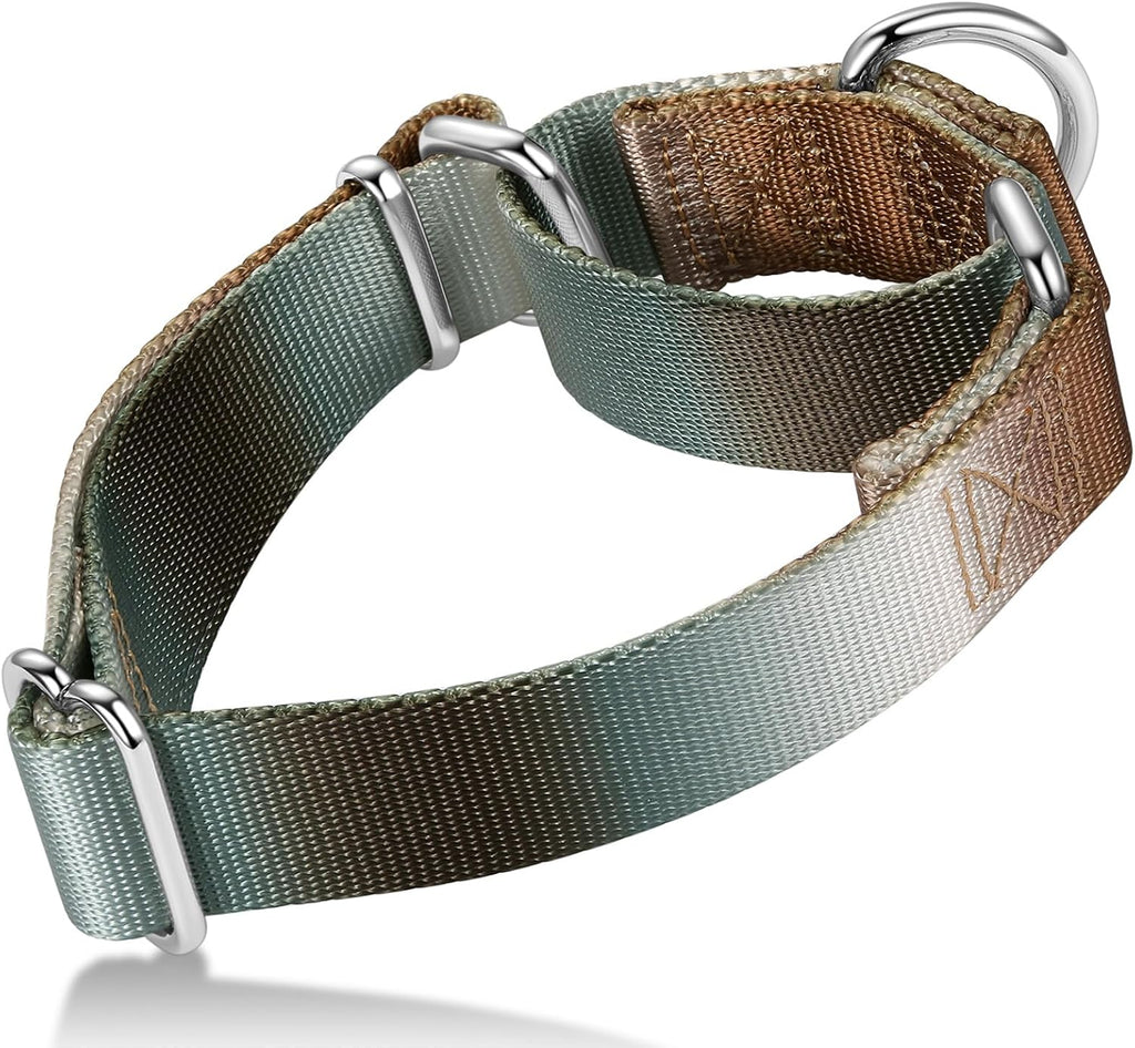 Martingale Dog Collar Colorful Gradient Fashionable - Anti-Escape Soft Durable Pets Collar for Walking Training Outdoor Daily Use -Medium, Purple Green - Image 13