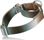 Martingale Dog Collar Colorful Gradient Fashionable - Anti-Escape Soft Durable Pets Collar for Walking Training Outdoor Daily Use -Medium, Purple Green - Image 13