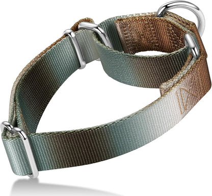 Martingale Dog Collar Colorful Gradient Fashionable - Anti-Escape Soft Durable Pets Collar for Walking Training Outdoor Daily Use -Medium, Purple Green - Image 13
