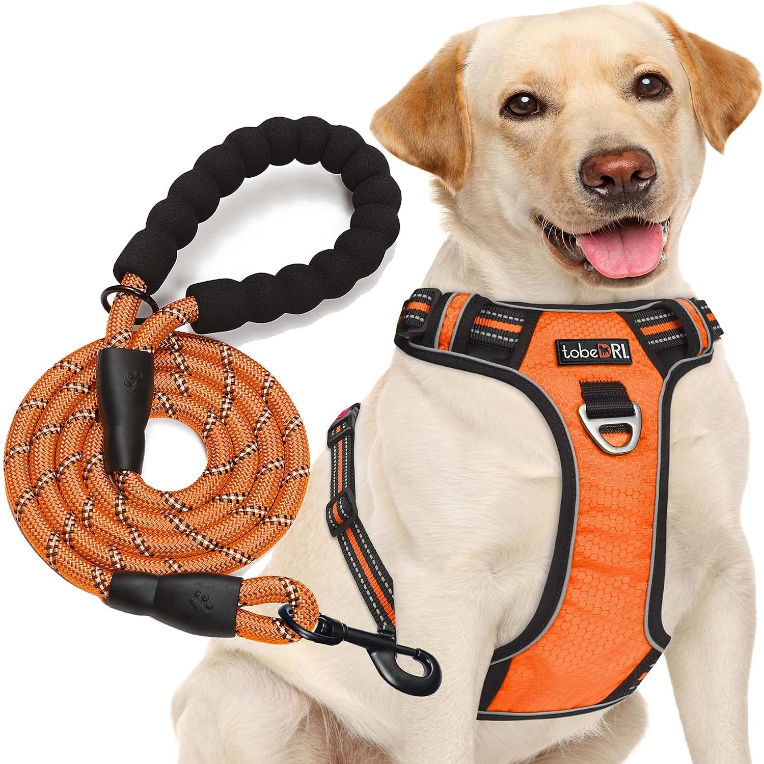 tobeDRI No Pull Dog Harness Adjustable Reflective Oxford Easy Control Medium Large Dog Harness with A Free Heavy Duty 5ft Dog Leash - Image 12