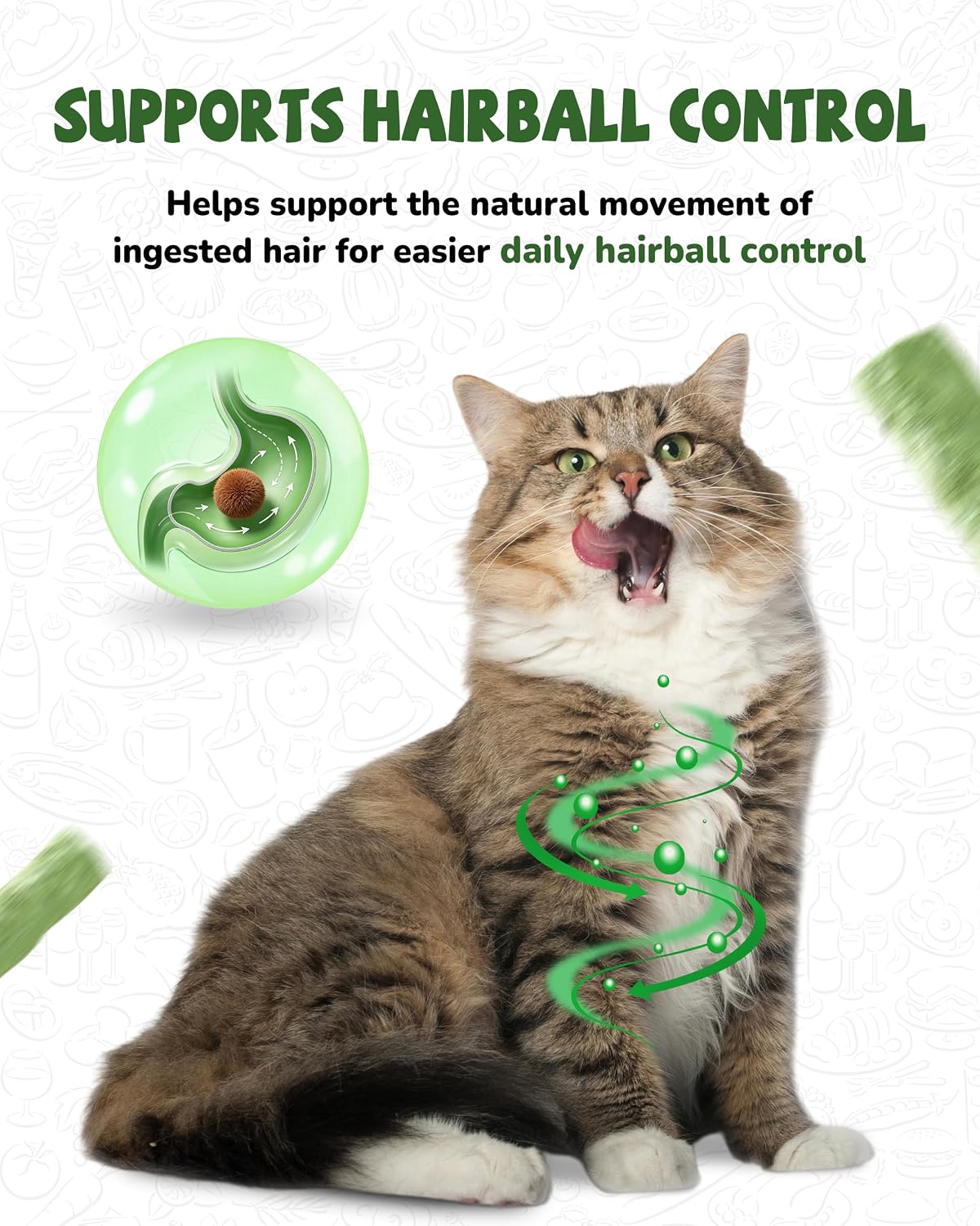 Authentic USA imported freeze dried cat snacks on clean background