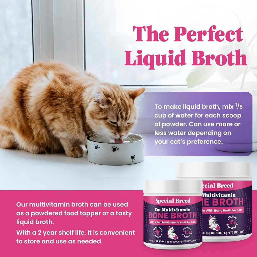 Special Breed feline daily supplement powder showing the grass-fed beef bone broth ingredient highlight.