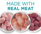 Purina One tuna recipe cat food can label detail