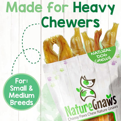 Nature Gnaws Beef Tendons Dog Chews dental hygiene treats for small dogs
