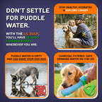 Cotton Candy colored pet hydration gear placed flat on silicone base pads.
