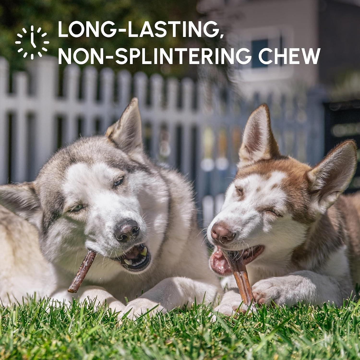 Grass fed beef dental chews for medium and large dogs.