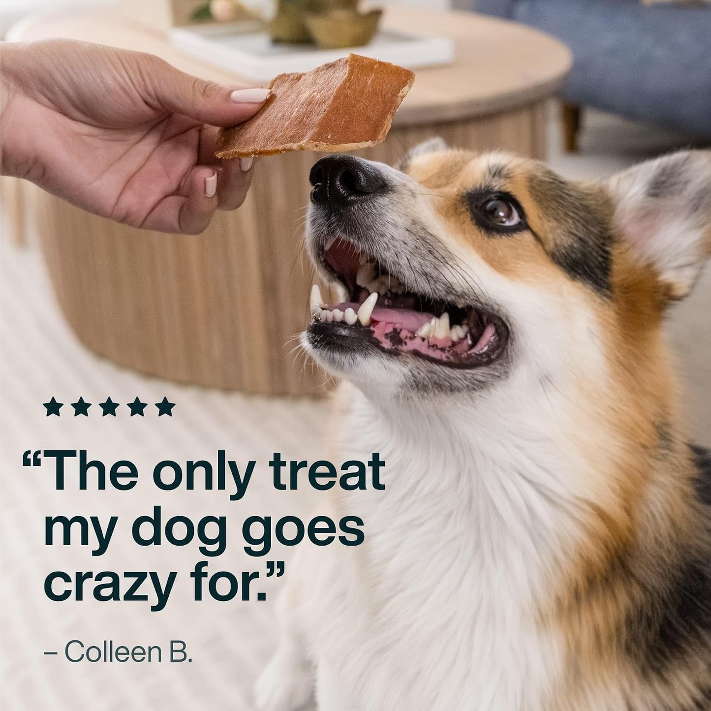 High quality USDA certified chicken breast dog treat