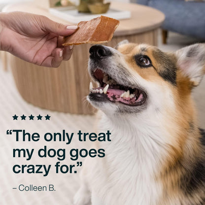 High quality USDA certified chicken breast dog treat