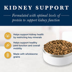Close up of kibble texture for Blue Buffalo kidney support cat food