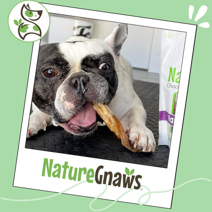 Nature Gnaws Beef Tendons Dog Chews natural grain free chew for medium dogs