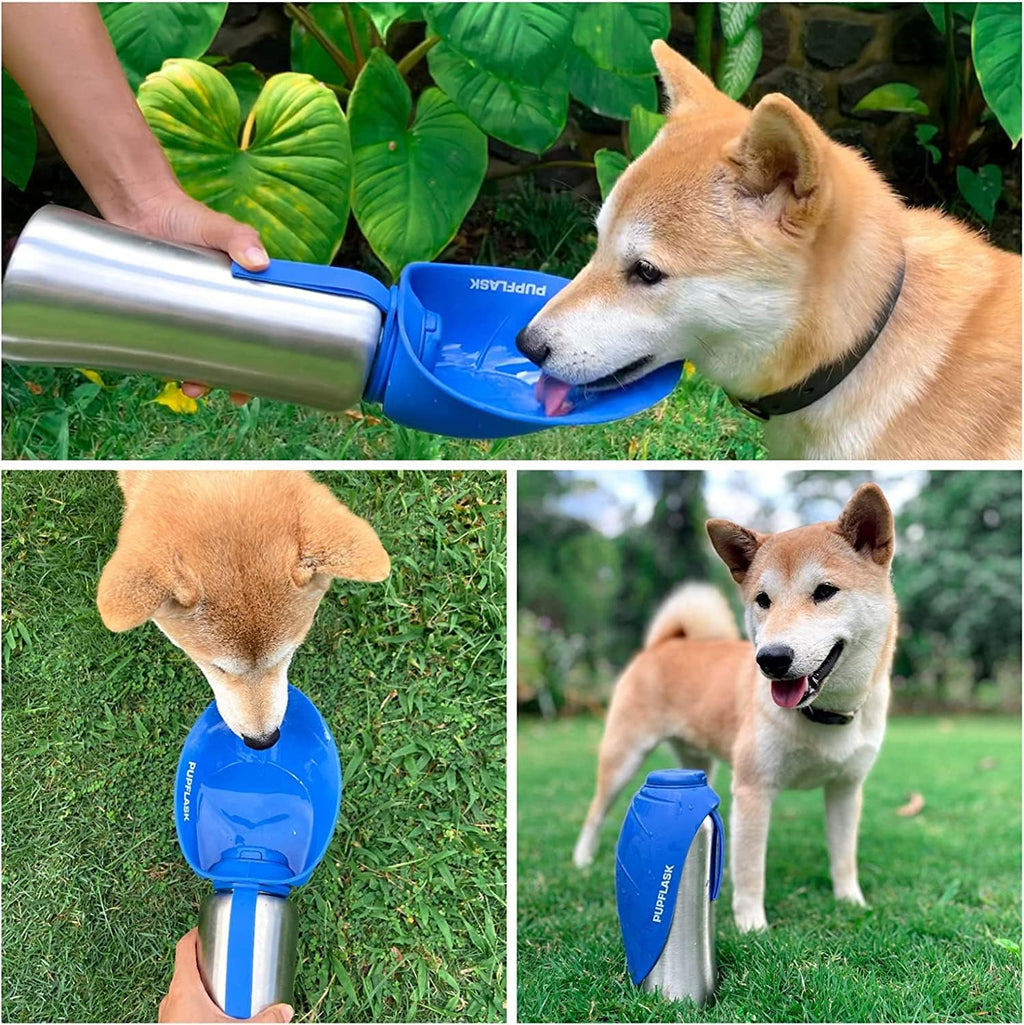 Tuff Pupper pet hydration flask being filled for outdoor dog walking