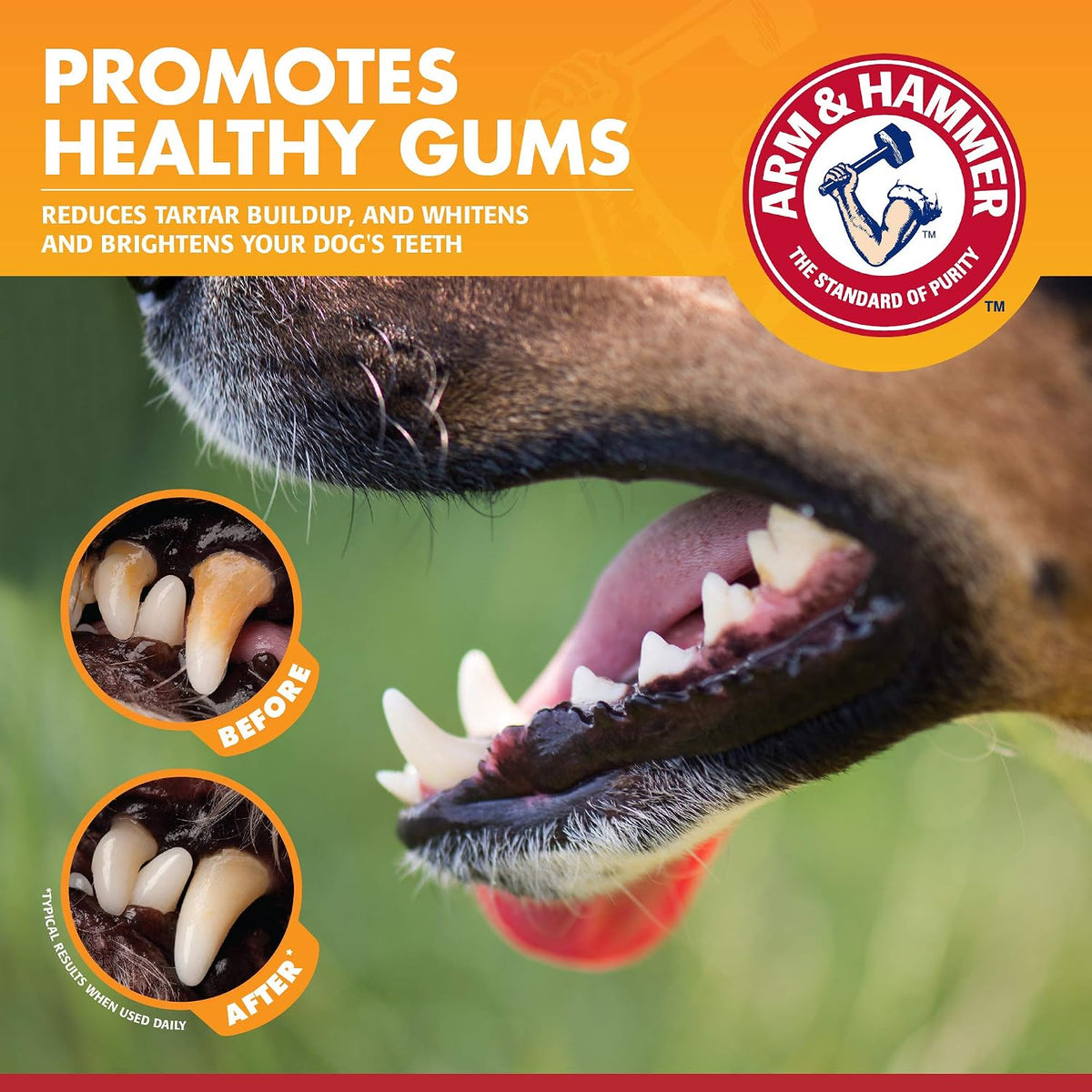 Side profile of Arm and Hammer dental care for dogs tube