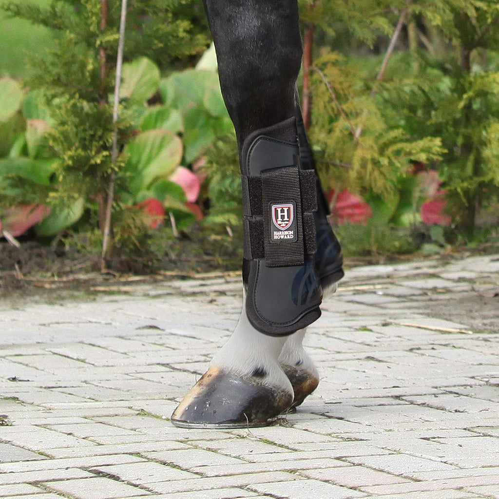 Harrison Howard fetlock protective boots showing shock absorbing neoprene lining