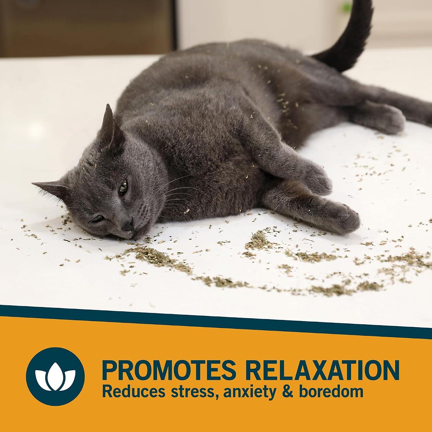 OurPets premium catnip safe non addictive treat for indoor cats