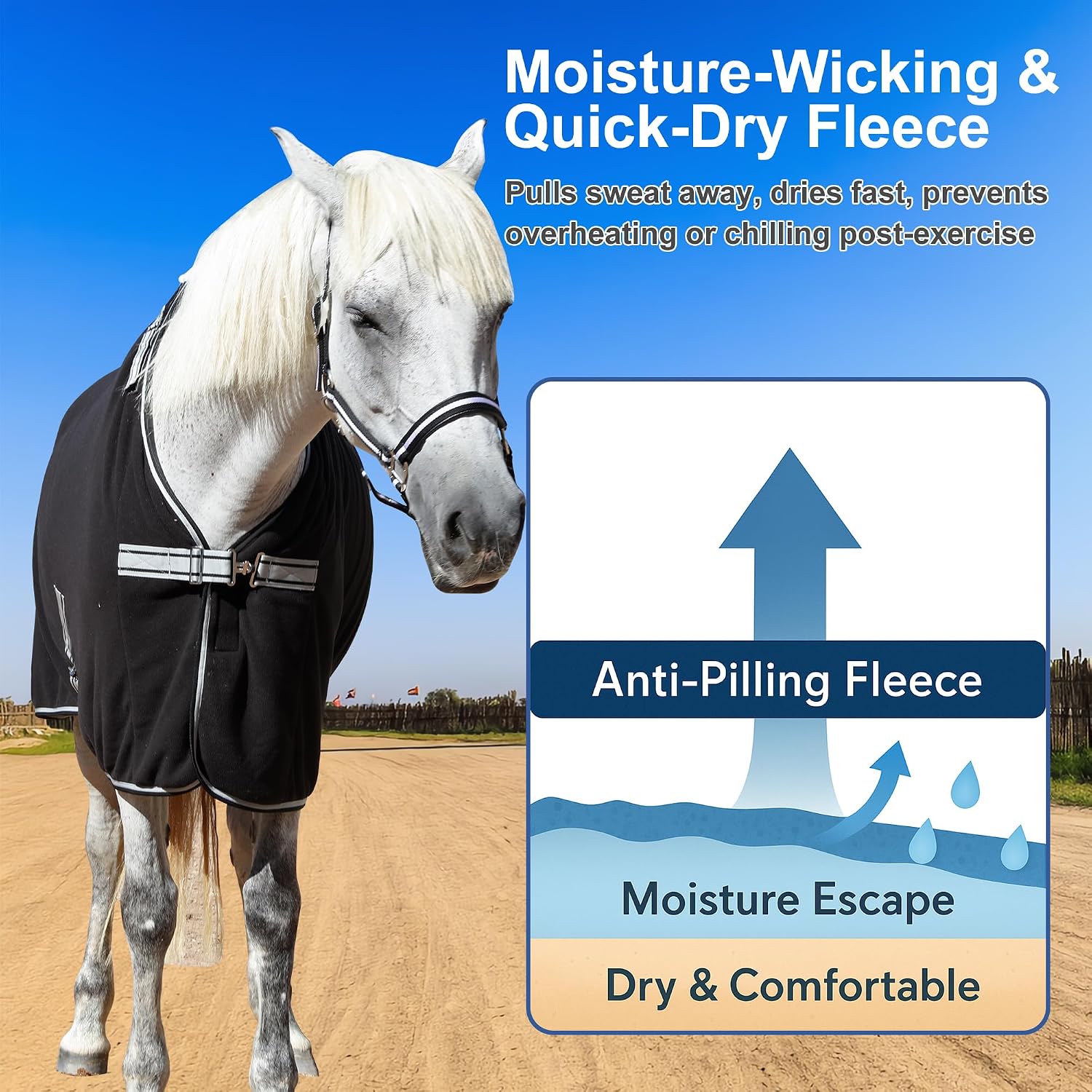 Gallopoff horse cooler adjustable neck and buckle detail