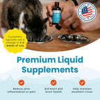 Authentic USA imported omega 3 skin coat joint heart support for pets