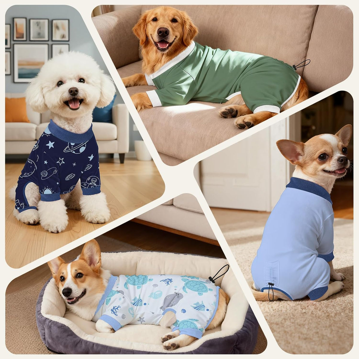 Glittme small dog onesie jumpsuit showcasing the adjustable back buckle feature.