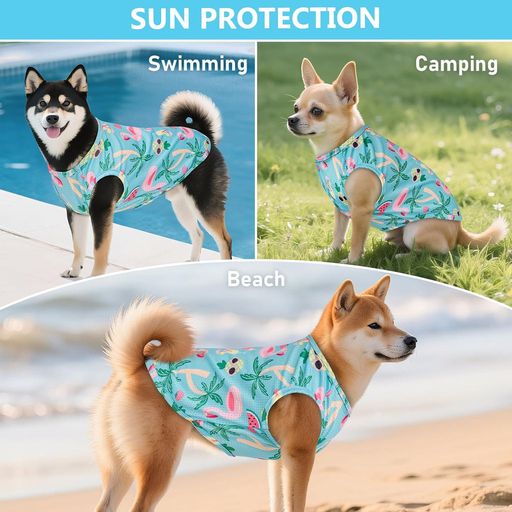 Small dog wearing Kyeese breathable mesh summer vest