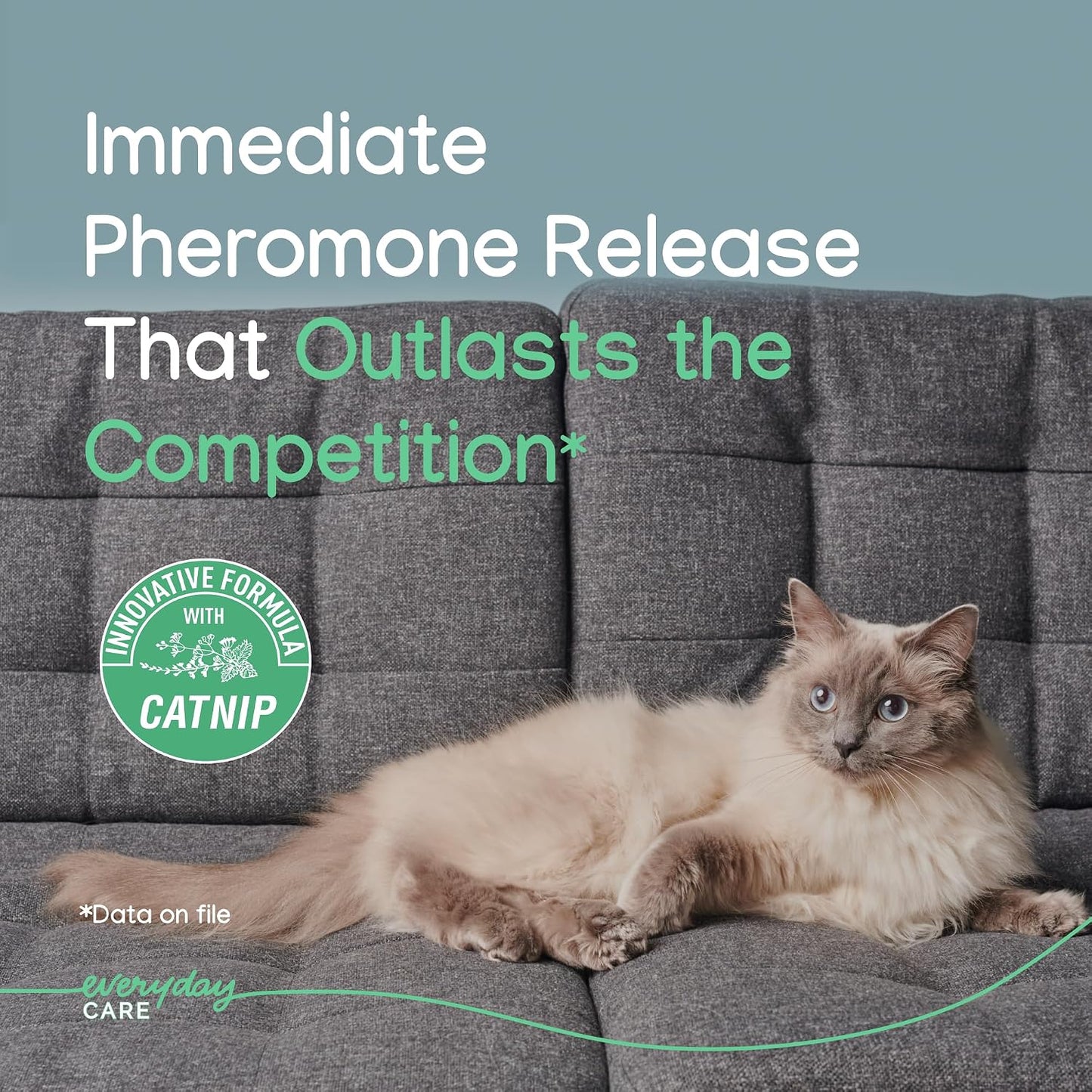 Virbac Zenifel calming pheromone spray for cats travel anxiety relief