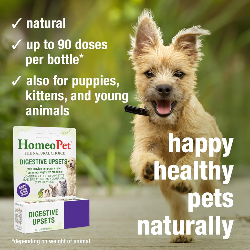 Natural digestive support for dogs and cats