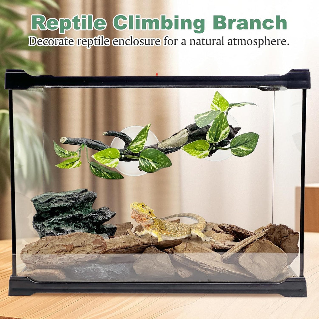 Fhiny reptile terrarium decor set
