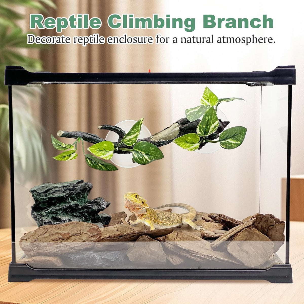Fhiny reptile terrarium decor set