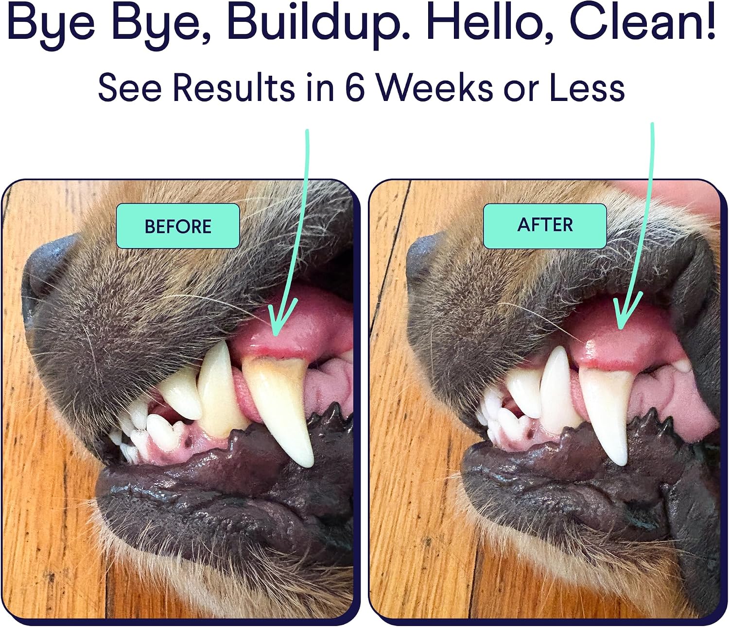 USA imported Finn plaque and tartar defense supplement for canine oral care
