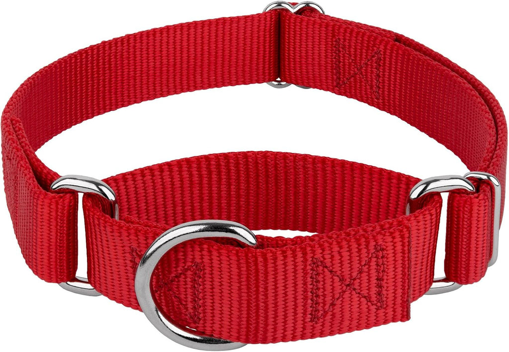 Country Brook Petz - Martingale Dog Collar - Heavy-Duty Training Collar with No Buckle - Service Dog Collar for All Pups - 20 Vibrant Colors (Lavender, 1 Inch, Medium) - Image 15