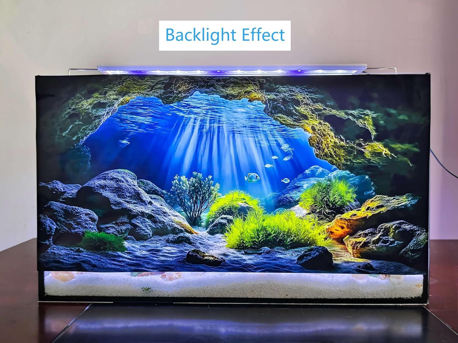 Included mounting tapes being applied to the edges of the generic aquarium background.