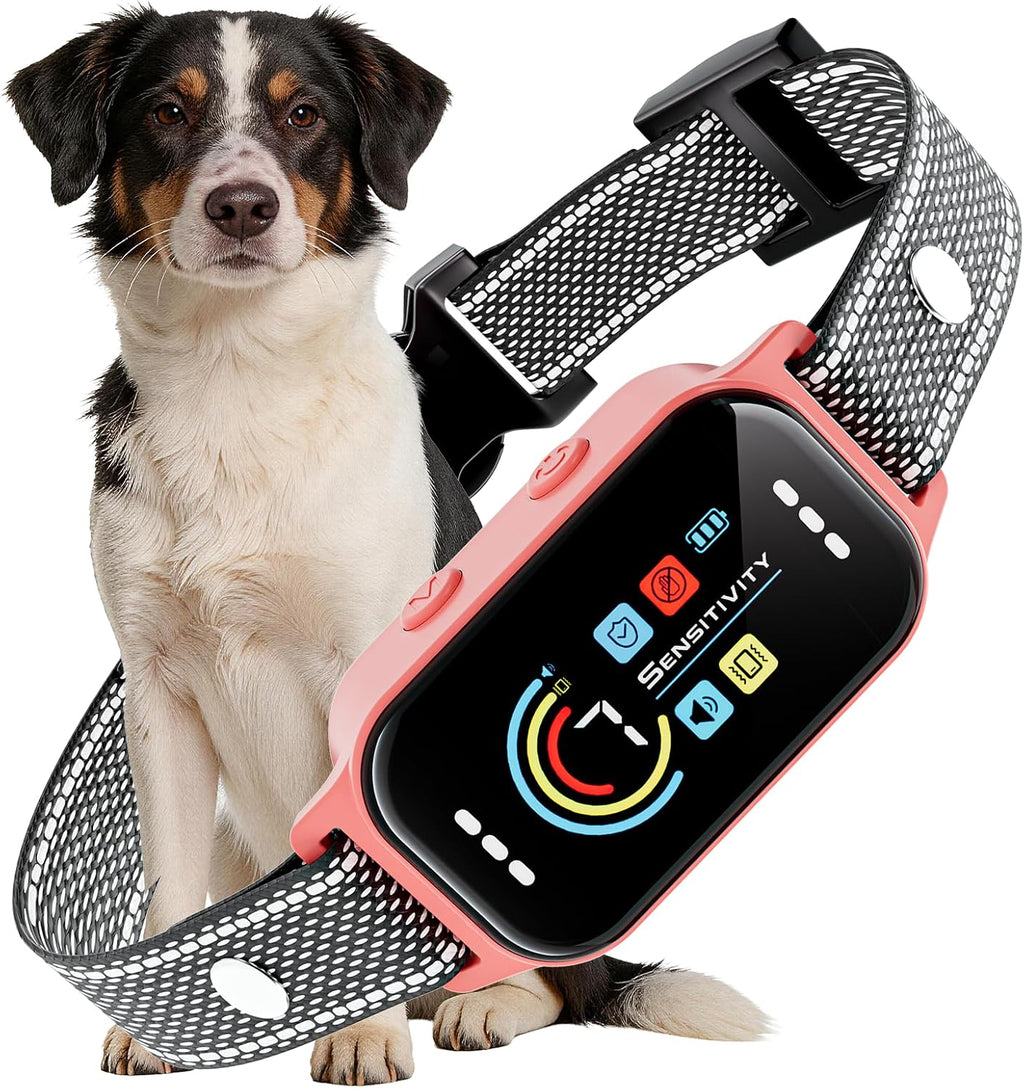 Koguzl smart training collar components and accessories