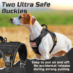 Side view of rabbitgoo dog harness showing molle panels