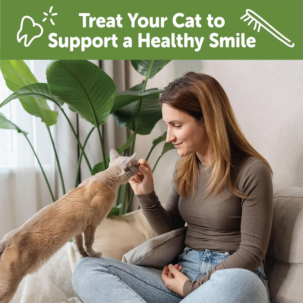 Authentic USA imported cat dental treats by Whimzees
