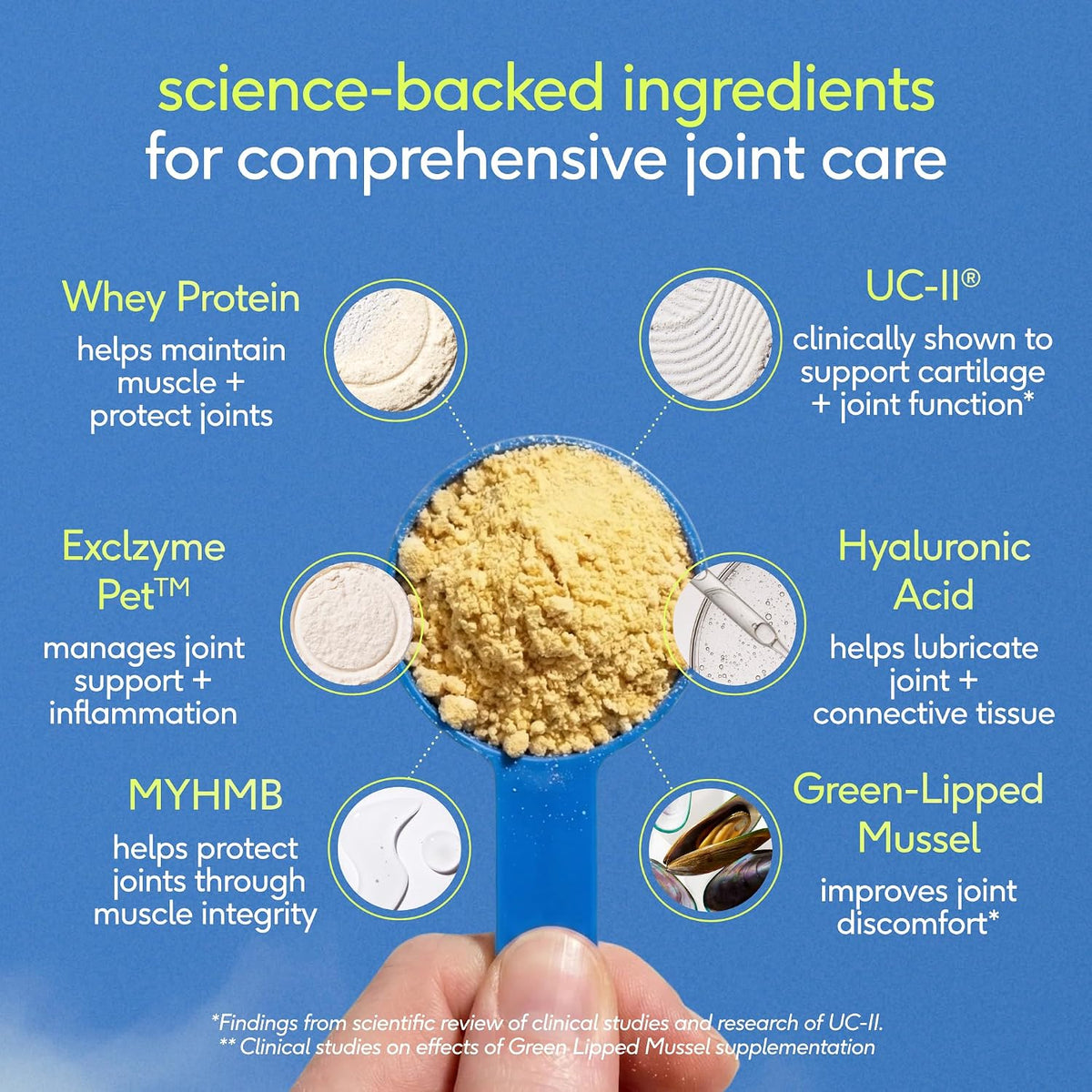Close up of Native Pet hip and joint powder texture for dogs